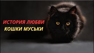 ИСТОРИЯ ЛЮБВИ КОШКИ МУСЬКИ! РЕАЛЬНАЯ ИСТОРИЯ!