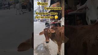 Индия ,свежие соки ,витамины за копейки 👍#путешествие