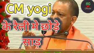 UP election 2022 :CM yogi के रैली में छोड़े सांड || देखिये क्या हुआ?