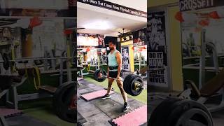 Deadlift Session #shortvideo #martialarts #athlete #gym