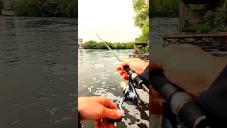 crazy fish arion 742uls #срыбалки #рыбалкавесной #fishing #crazyfish #crazyfisharion #рыбалка