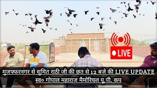 मुजफ्फरनगर से 12 बजे 2 कबूतर और बैठे LETEST LIVE UPDATE || स्व० श्री गोपाल महाराज मैमोरियल यू.पी. कप