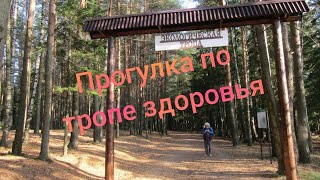 Прогулка по тропе здоровья/Сосновый Бор #ДорогаКкапищенскомуОзеру #ПриятнаяВстреча