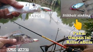 umpan ampuh mancing ikan tarpon atau bulan bulan tapi salah target