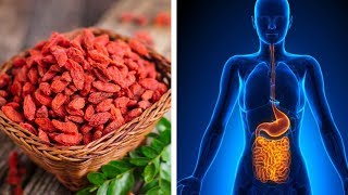 7 Amazing Goji Berries Health Benefits | Nutrition Facts