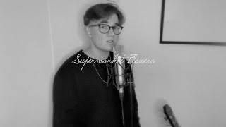 ED SHEERAN - Supermarket Flowers COVER (Luca Pfeiffer)