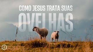 COMO JESUS TRATA SUAS OVELHAS | CULTO DOMINGO - Pastor Deivide