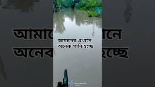 কোন কোন জেলায় নিম্নচাপ কমেন্টে জানিয়ে যান #পানিপুরি #যশোর #shortvideo #viralvideo