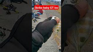 strike baby GT Kw #shorts #fypmancing #sabikifishing #babygt #fypviral