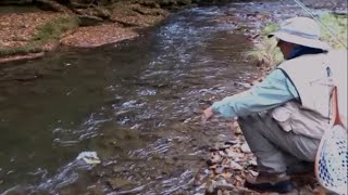 Scott Yoder's Cedar Run Wild Brown Trout