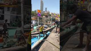 Sassoon Dock #kokan #viralvideo #viralvideo #vairal #fishing