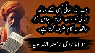 #MOULANA ROMI Quotes in Urdu محبت مرے ہوئے انسان کو۔