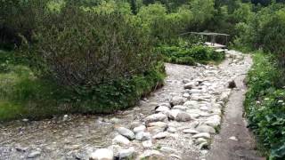 Krajina Vysoké Tatry 06/2016