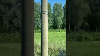 Наслаждайся дорогой #туризм #shortsvideo #treval #отдых #море #пляж #отпуск