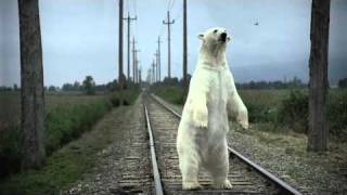 Nissan Leaf --Polar Bear-- Electric Vehicles