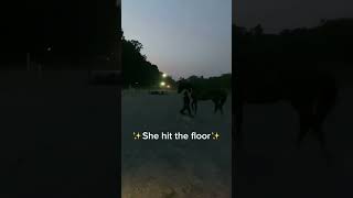 ✨dramatic dismount✨😅🤣 #horse #horsebackriding #equestrian #edit #fail