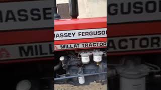 240 massey Ferguson for sale