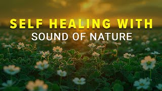 Calming Morning Music with Sound of Nature Music to Uplift Your Mood- Heals the Mind Body and Soul