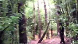 paeroa Newzealand offroad Adventures 090613 ,,,  2