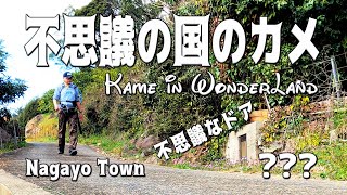 不思議の国の亀・長与町で見つけた不思議ドア(^^ゞ