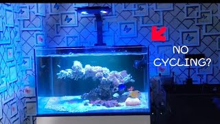 REEF TANK Update 7 Hari: Rahasiaku Aquarium Laut No Cycling❗Perhatikan ini‼️