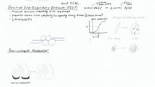 Ventilator Modes 2 - PEEP