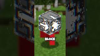 The most COMPLEX BLOCK in Minecraft!!!!