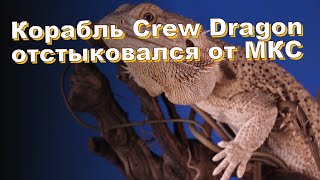 Корабль Crew Dragon отстыковался от МКС