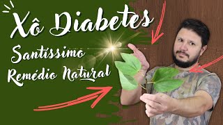 02 PLANTAS PARA DERRUBAR DIABETES