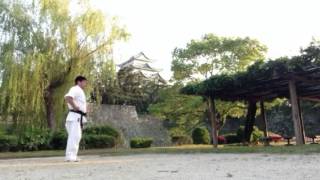 PINAN SONO SAN - KATA KYOKUSHIN