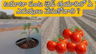 #Fertilizers and biofertilizers for tomato crop in bed preparation #Hyoroplus G#Hyoromy plus#tomato