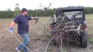 Pasture Cleanup