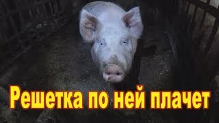 Решетка по ней плачет...bogomaz05