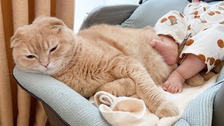 My cat loves to sleep with a baby