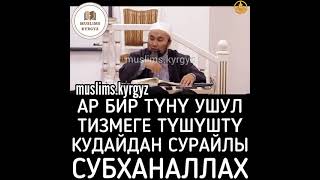 Ар бир түнү ушул тизмеге түшүштү Кудайдан сурайлы. Субханаллах | шейх Чубак ажы