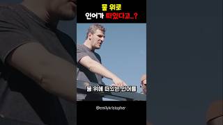 물 위로 인어가 떠있다고...?