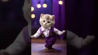 💃💃💖 #shortsvideo #cat #catvideos #trending #funny #catdance #cute