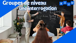 Les groupes de niveau : une interrogation