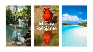 Música relajante con videos de paisajes increíbles