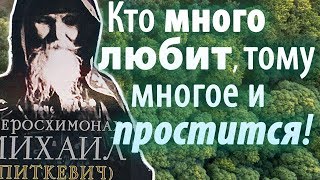 Скорби от бесов не избежишь! Кто много любит тому многое и простится! Михаил (Питкевич)