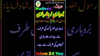 Hadees ¦ رسول ﷲ ﷺ نے ارشاد فرمایا بُردباری ﷲ پاک کی طرف سے ہے اور جلد بازی شیطان کی طرف سے ہے۔