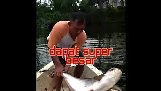 Mancing ikan patin di danau dapat besar!!!