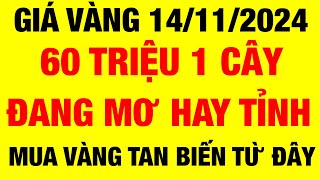 Giá vàng 9999 hôm nay / ngày 14/12/2024 / giá vàng hôm nay / giá vàng 9999 / giá vàng 9999 mới nhất