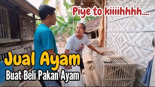 Jual Ayam Untuk Beli Pakan Ayam