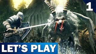 Dark Souls Artorias of the Abyss Discovering Oolacile | The Lost Let's Play cira 2018 - Part 1