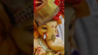 Happy Ganesh Chaturthi 🚩🚩🙏🏻🙏🏻❤️#youtubeshorts #trending#shorts#ganesh