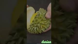 #thesmallestdurian #socute #fruit #short