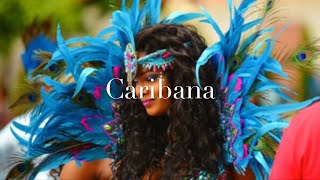 Caribana! Toronto’s International Caribbean Carnival!