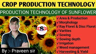 Sunflower Cultivation #icar #bhu #cuet