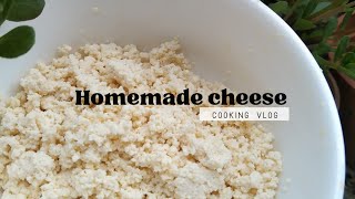 Homemade Cheese | Experiment